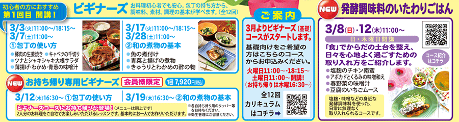 ビギナーズ、発酵調味料のいたわりごはん、お持ち帰り専用ビギナーズ カリキュラム